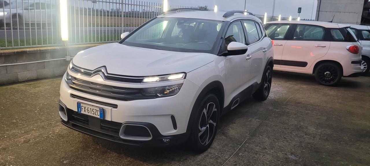 Citroen C5 Aircross C5 Aircross BlueHDi 130 S&S EAT8 Shine