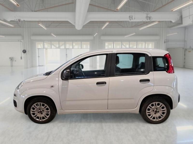 FIAT PANDA 1.2 69 CV E6 EASY 5 PORTE BERLINA
