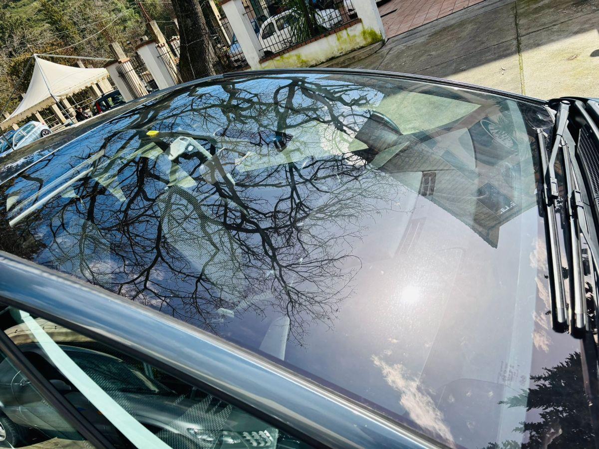 Citroen C4 Picasso 1.6 HDi 110cv Elegance