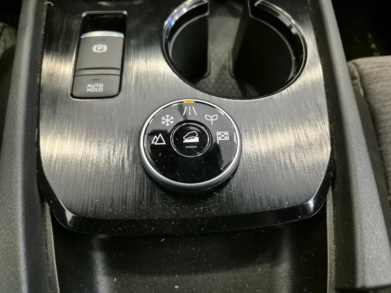 Nissan X-Trail 1.5 e-power N-Connecta e-4orce 4wd auto 7p.ti