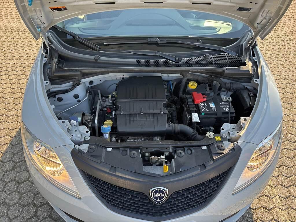 Lancia Ypsilon 5 Porte 1.2 Elefantino