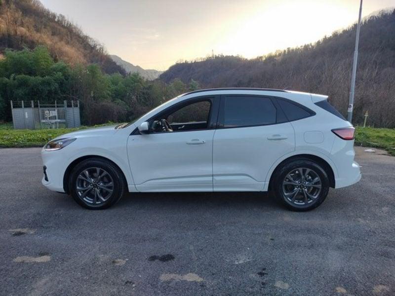 Ford Kuga Kuga 2.0 EcoBlue 120 CV aut. 2WD ST-Line