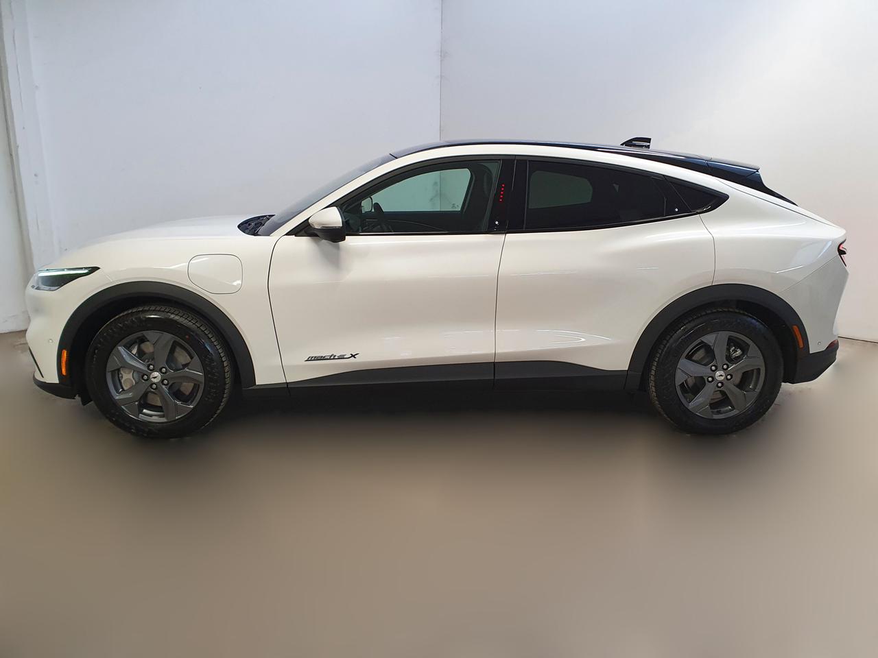FORD Mustang Mach-E - Mustang Mach-E Elettrico Extended 294CV Premium