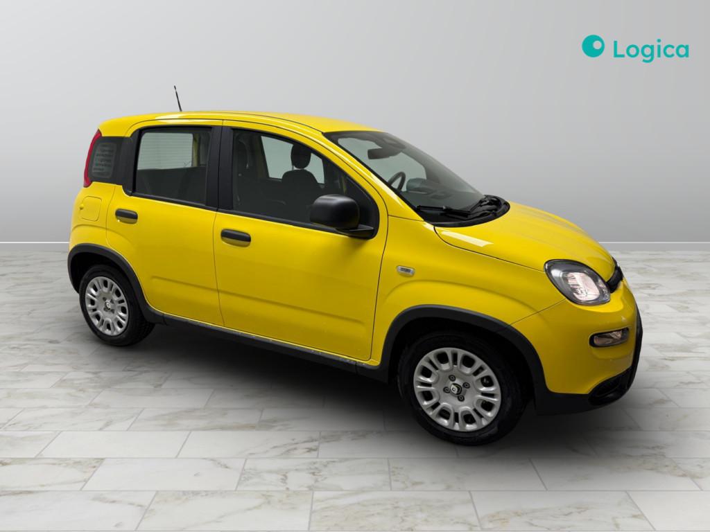 FIAT Panda III 2024 - Panda 1.0 firefly hybrid s&s 70cv