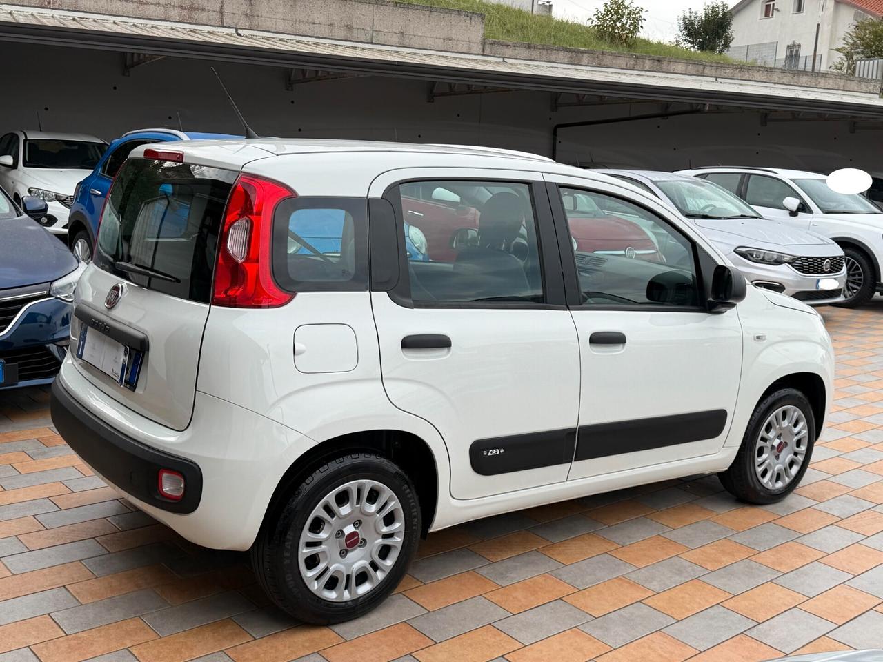 Fiat Panda New 1.2 69 cv. EasyPower EASY (Imp. GPL)