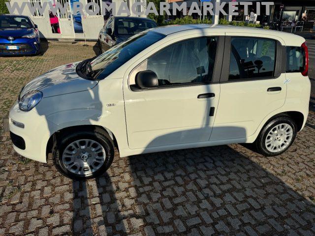 FIAT Panda 1.0 FireFly S&S Hybrid ITA PACK CITY NO VINCOLI