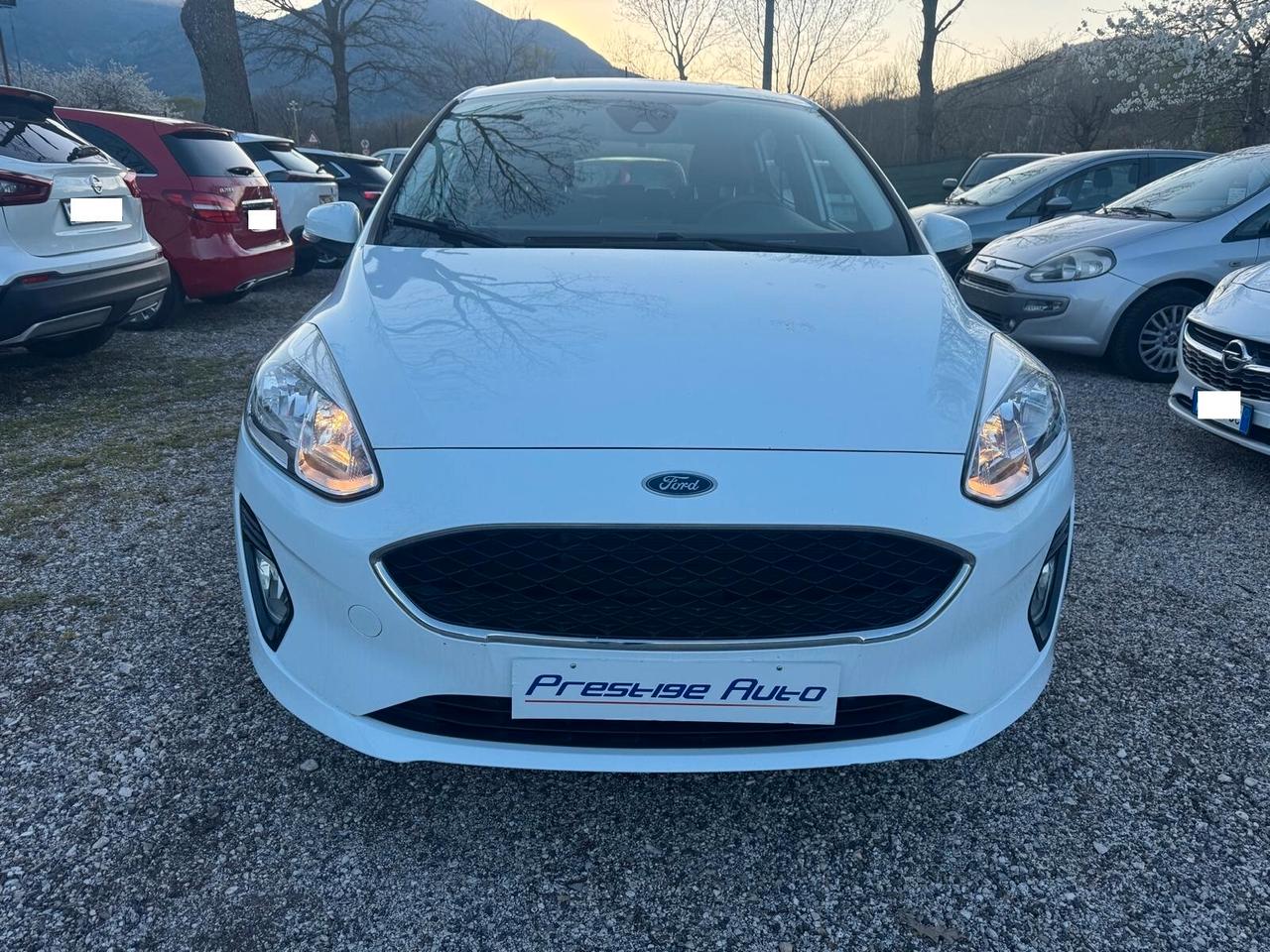 Ford Fiesta 1.1 85 CV 5 porte Plus