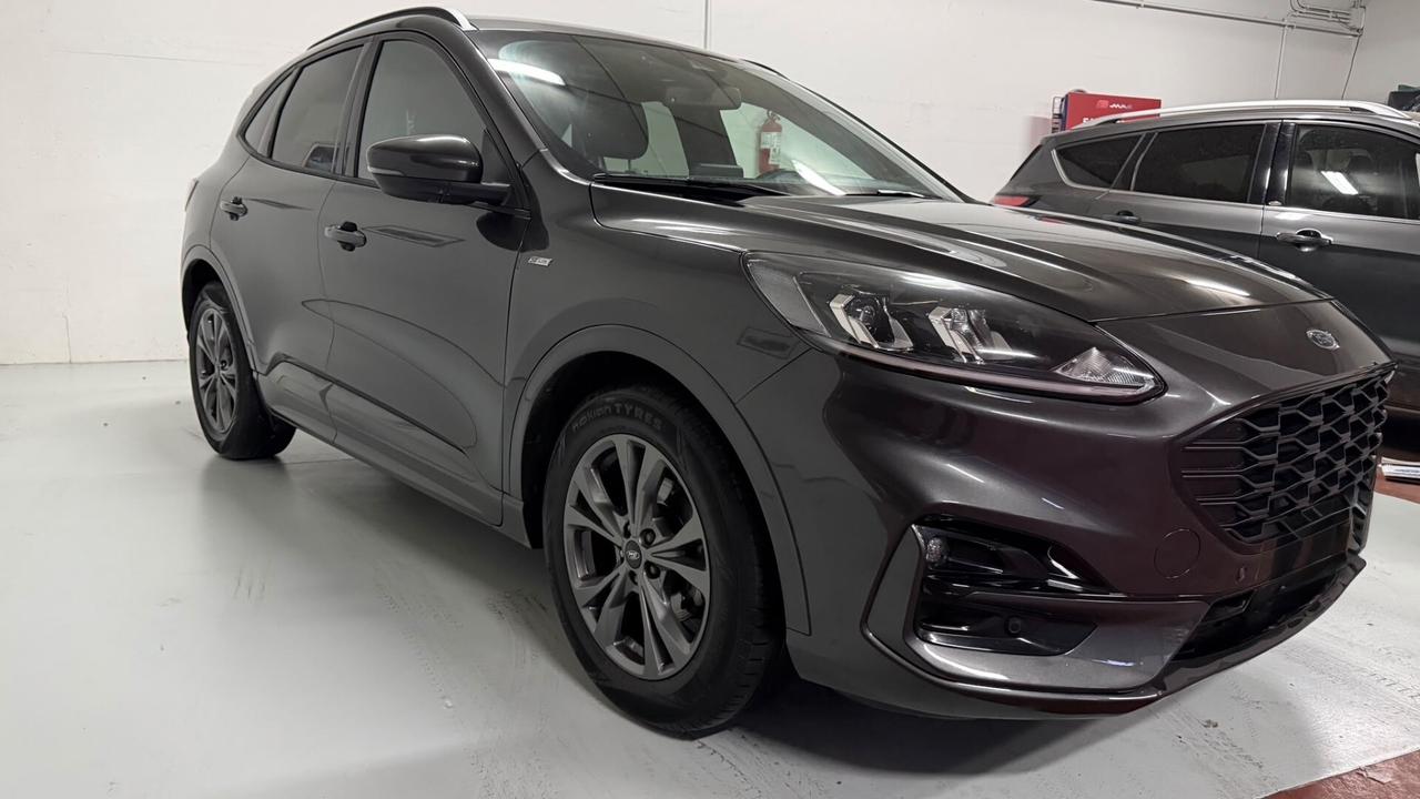 Ford Kuga 1.5 EcoBlue 120 CV 2WD ST-Line x