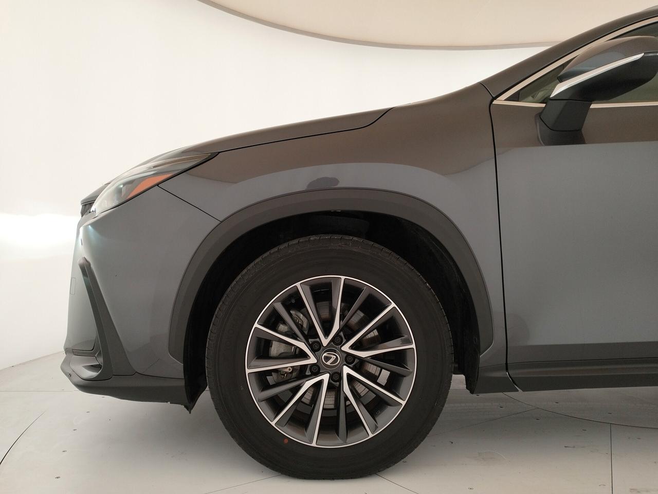 LEXUS NX 350h 2.5 Business e-cvt - IVA ESPOSTA