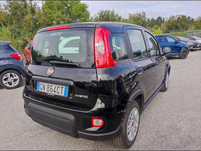 FIAT Panda III 2021 - Panda 1.0 firefly hybrid s&s 70cv