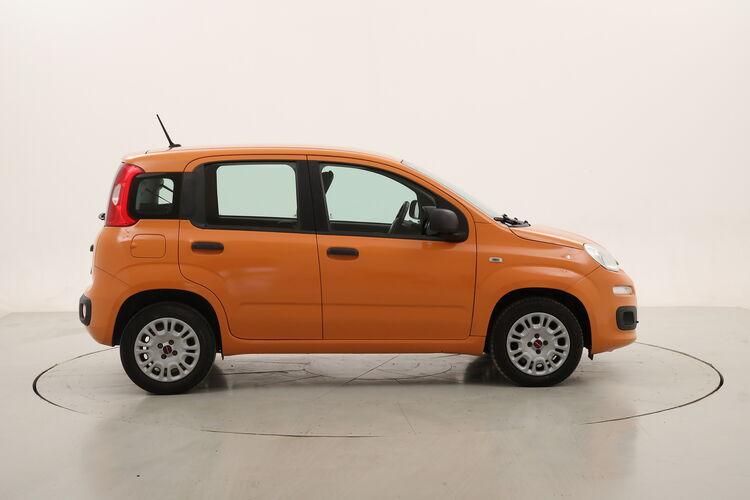 Fiat Panda Easy BR694371 1.2 Benzina 69CV