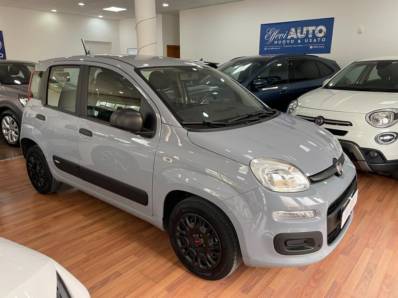 FIAT PANDA 1.2 69CV EASY - Dicembre 2020