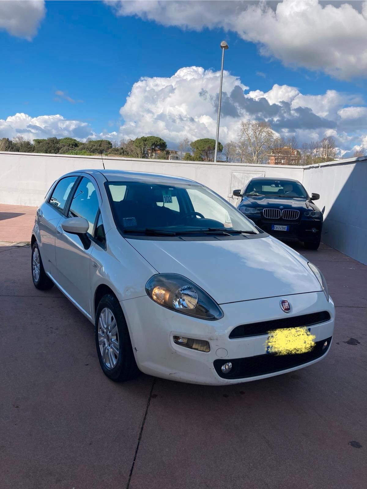 Fiat Punto 1.3 MJT II 75 CV 5 porte Easy