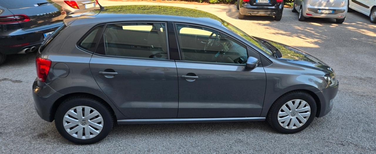 Volkswagen Polo 1.2 70 CV 5p. Comfortline
