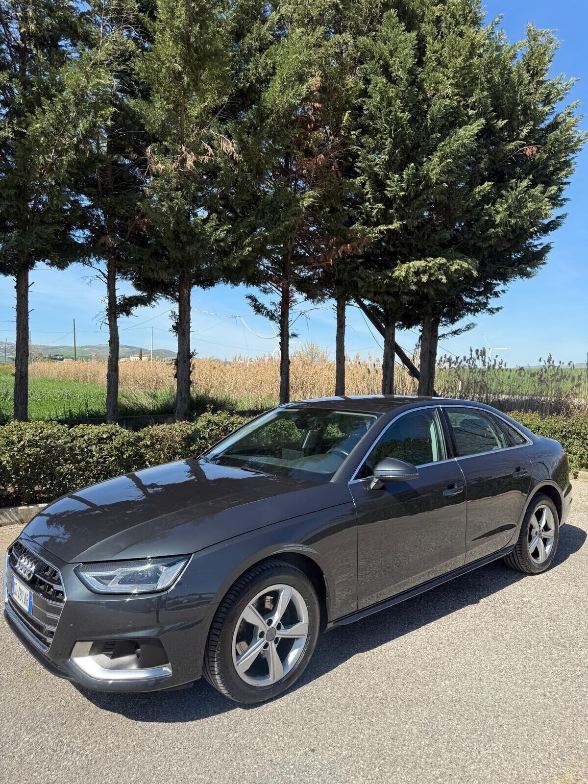 Audi A4 30 TDI/136 CV S tronic Business Advanced