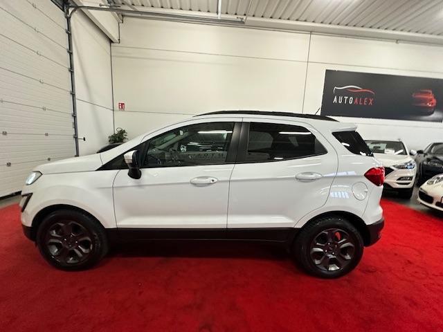 FORD - EcoSport 1.5 tdci Plus s&s 100cv NEOPATENTATI