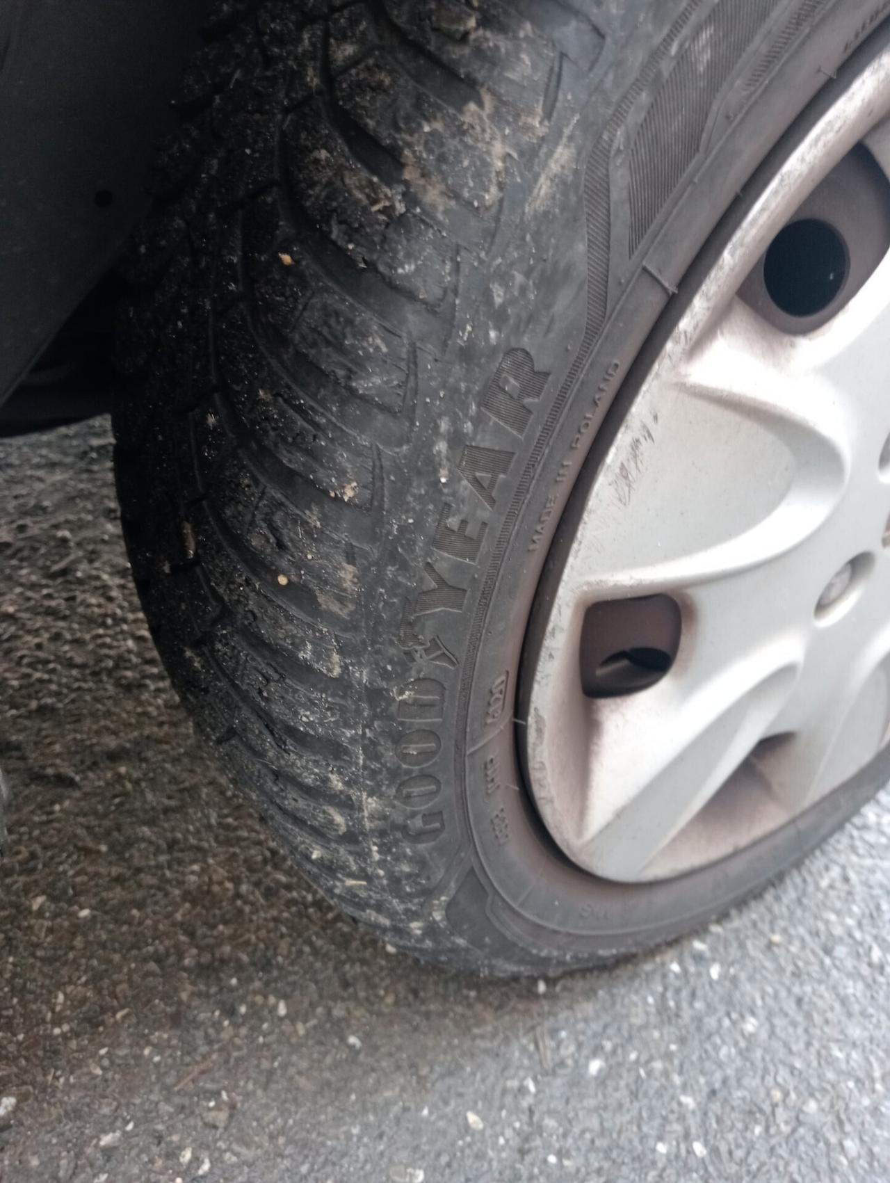 Nissan Micra 1.2 16V 5 porte Jive X Neopatentati