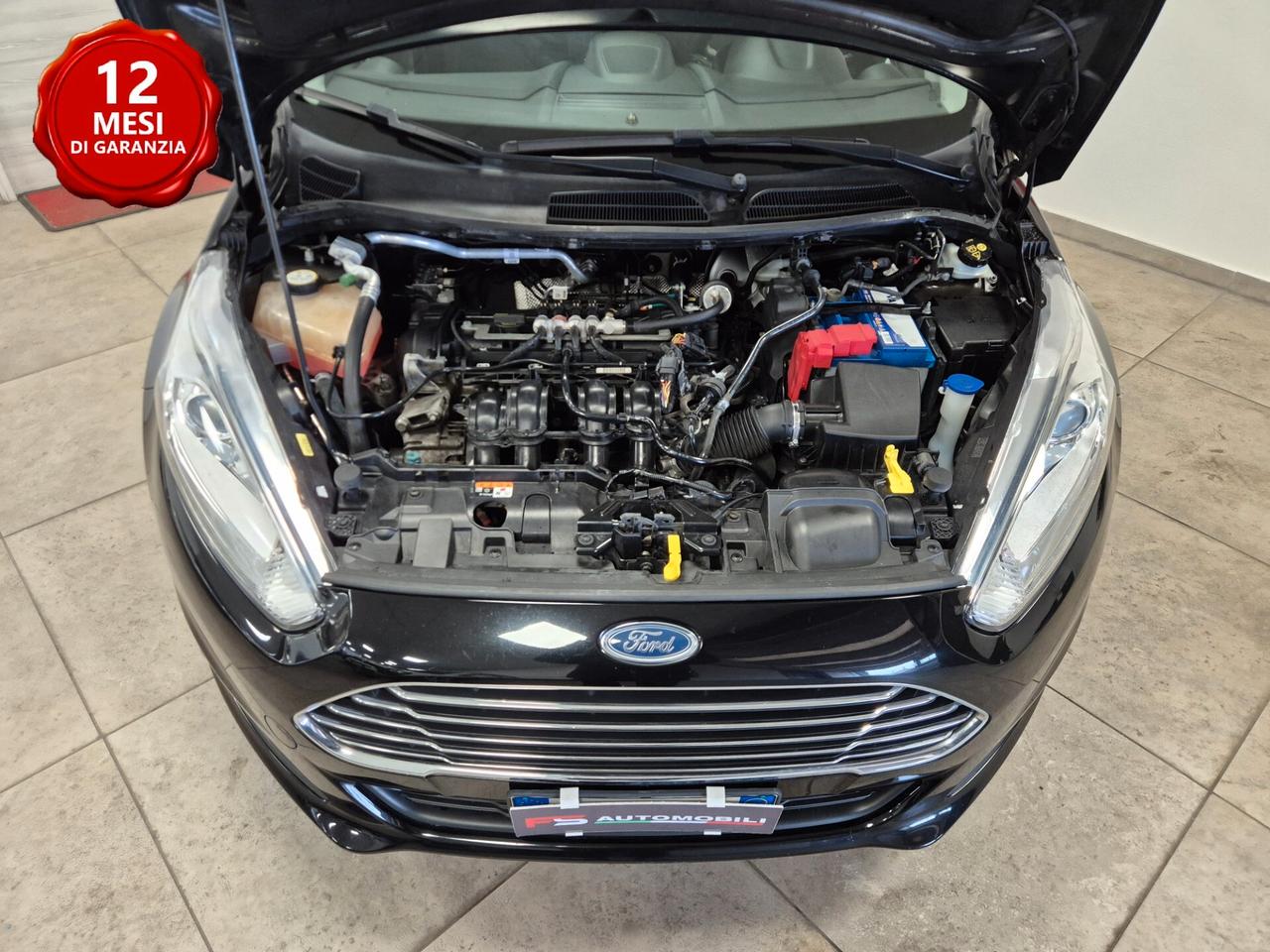 Ford Fiesta 1.4 - GPL Black & White Edition