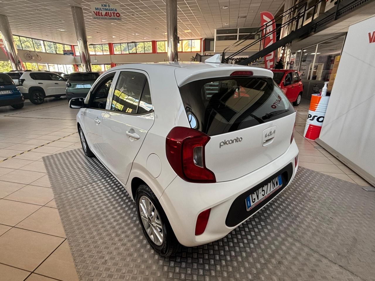 Kia Picanto 1.0 12V 5 porte Urban