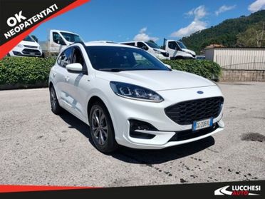 Ford Kuga Kuga 1.5 EcoBlue 120 CV 2WD ST-Line