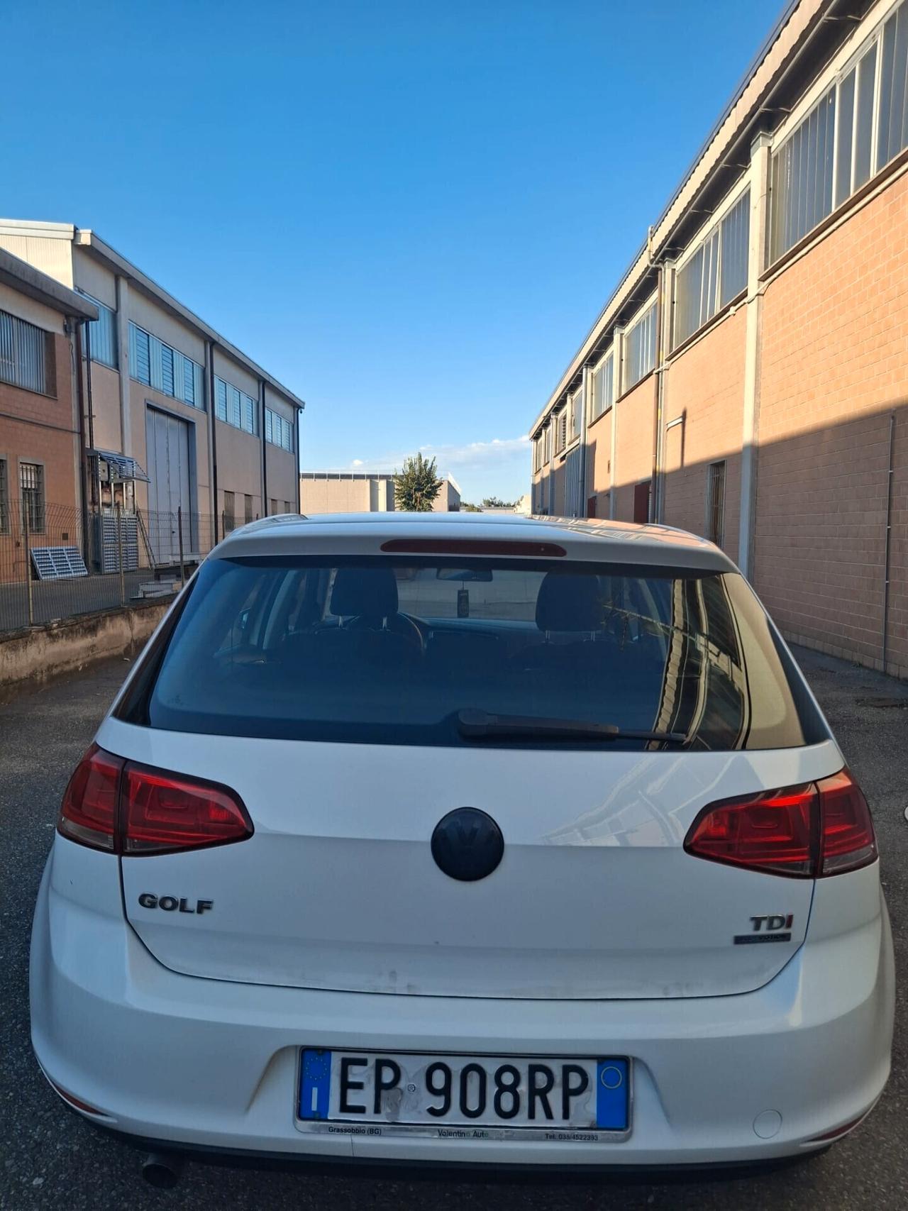 Volkswagen Golf 1.6 TDI 5p. Highline BlueMotion Technology