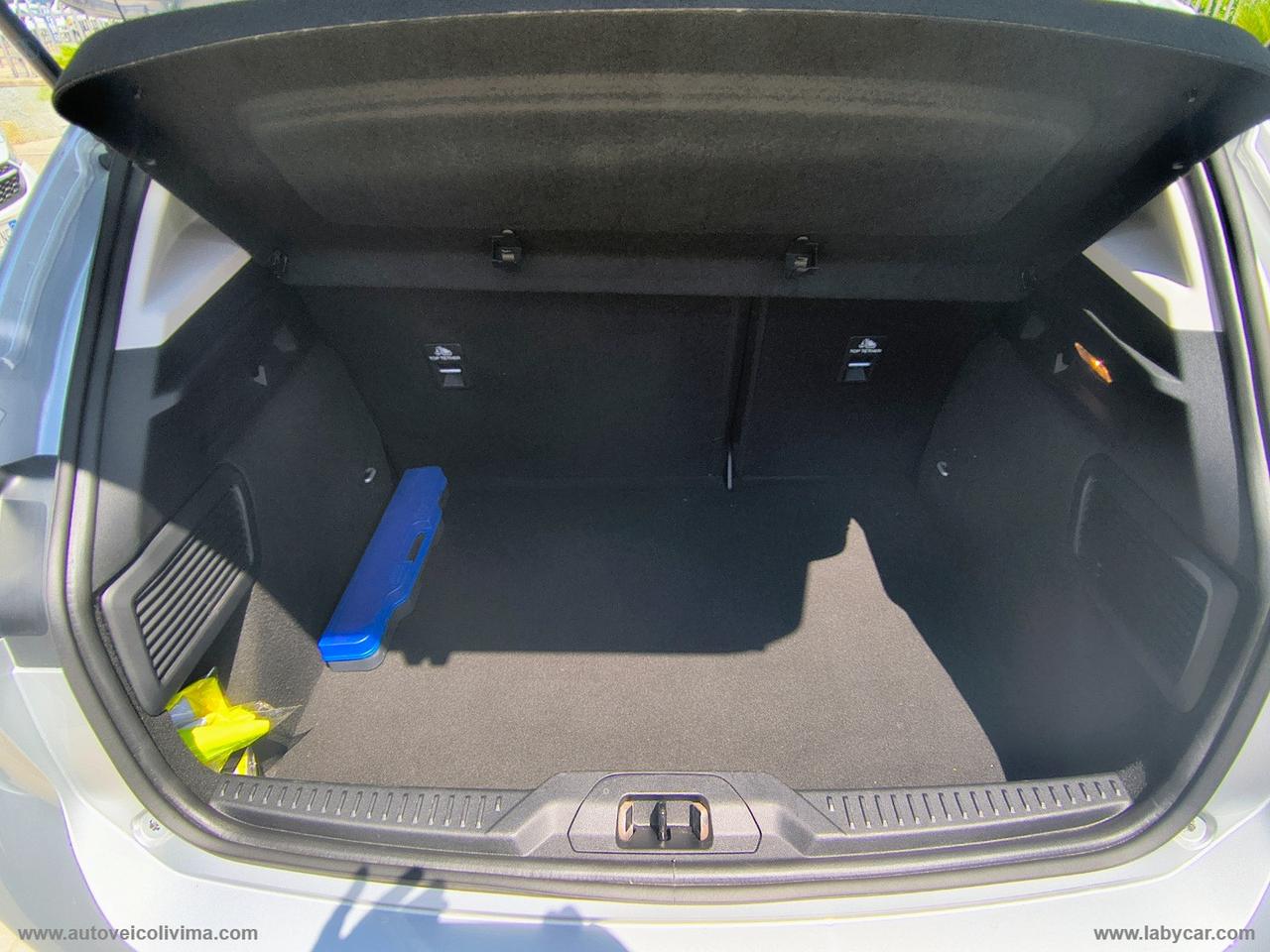 FORD Focus 1.5 EcoBlue 120CV 5p. Business