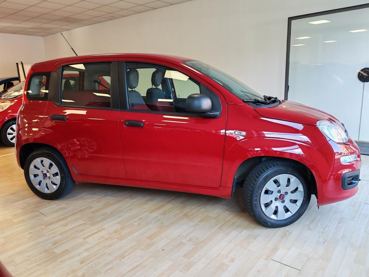 Fiat Panda - DISTRIBUZIONE NUOVA e TAGLIANDATA !!!