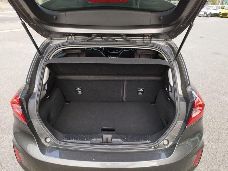 Ford Fiesta Fiesta 1.5 EcoBlue 120 CV 5 porte Vignale