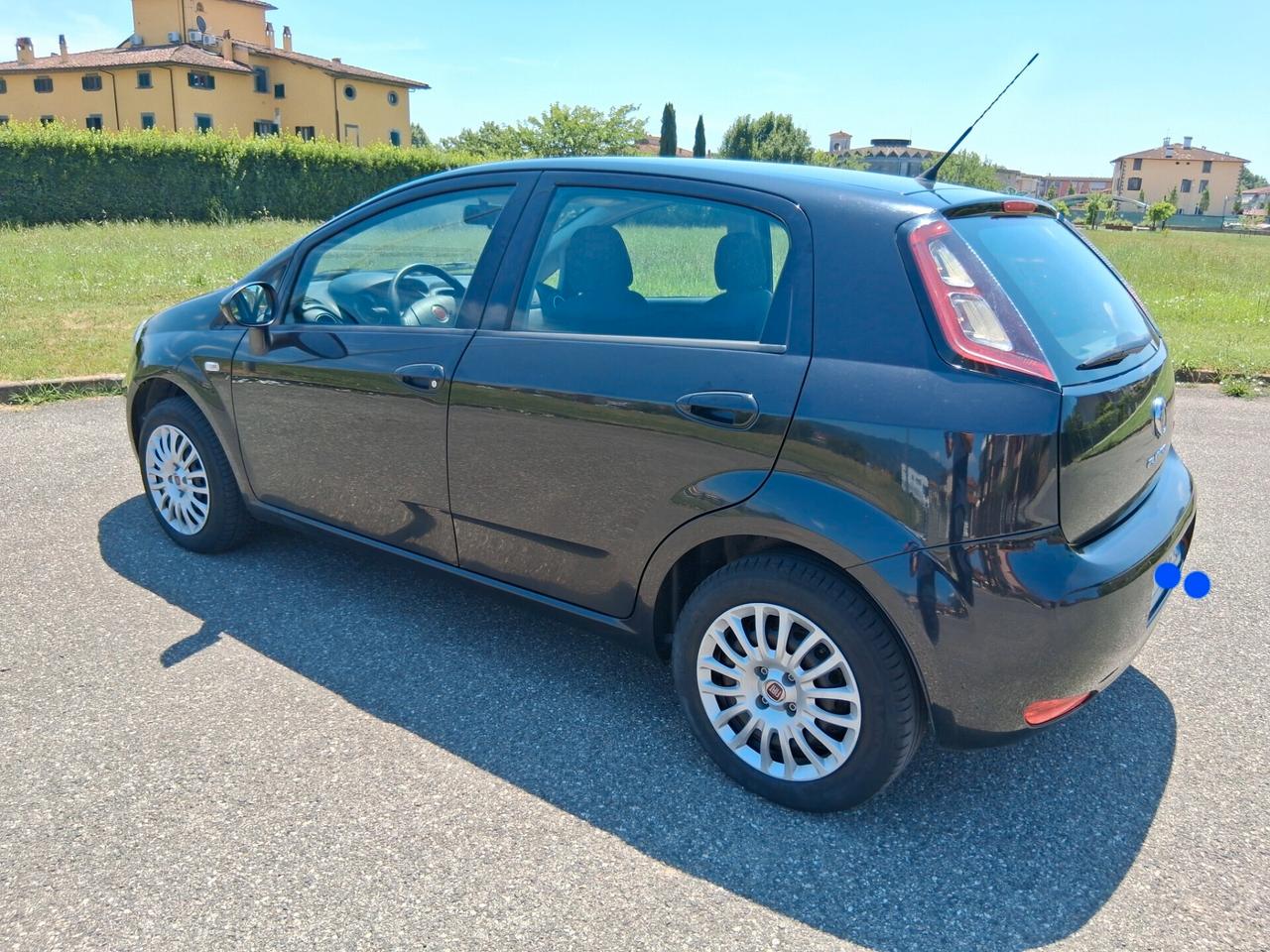 Fiat Punto 1.2 8V 5 porte Street km 83000
