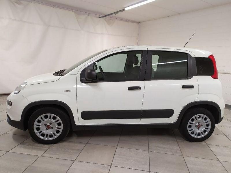FIAT Panda van 1.0 hybrid Street 70cv 4p.ti serie 4 E6d