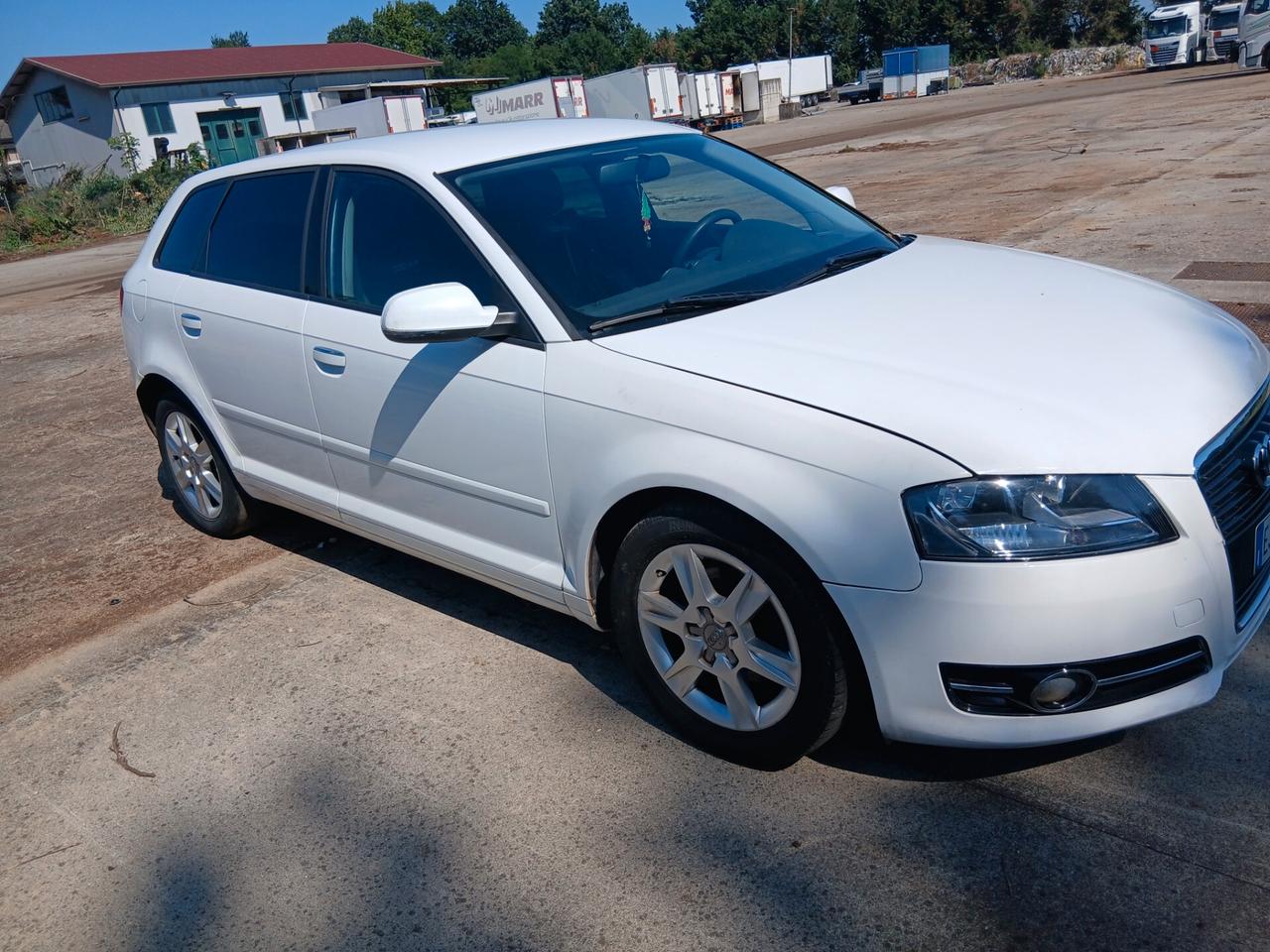 Audi A3 1.6 TDI 90 CV CR F.AP. Ambition