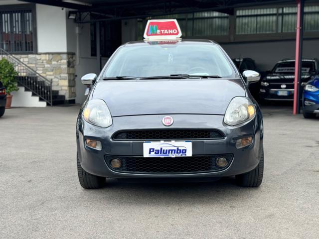 FIAT Punto 1.4 8V 5 porte Natural Power Lounge