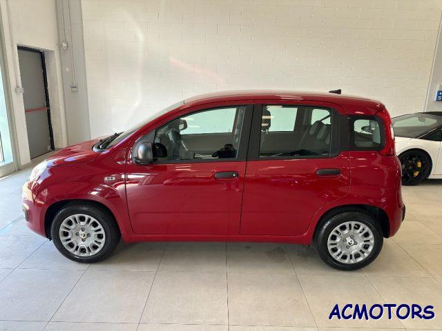 FIAT Panda 1.0 FireFly S&S Hybrid Pandina