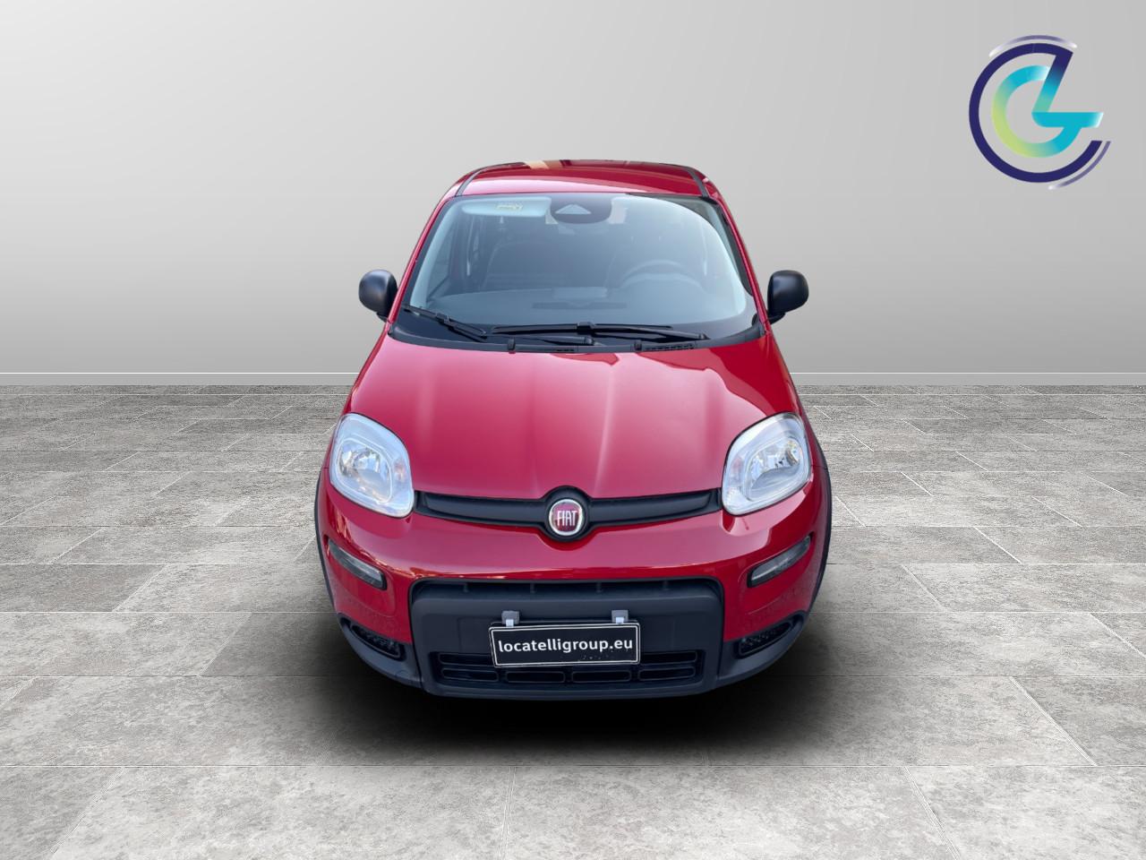 FIAT Panda III 2024 - Panda 1.0 firefly hybrid s&s 70cv