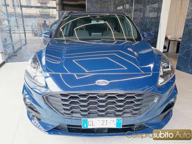 FORD Kuga 1.5 EcoBlue 120 CV 2WD Titanium Business