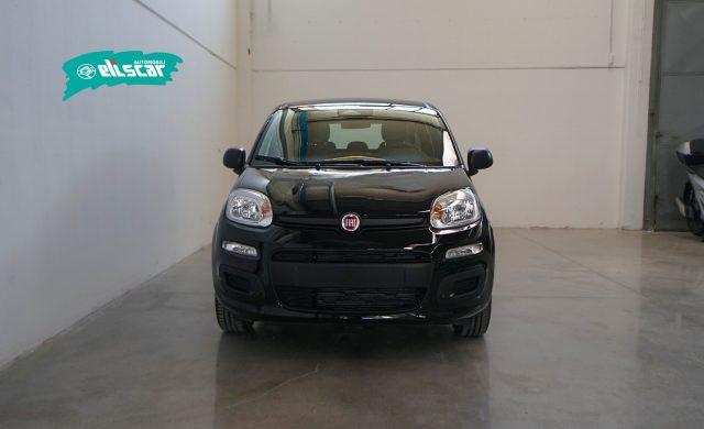FIAT Panda 1.0 FireFly S&S Hybrid Icon