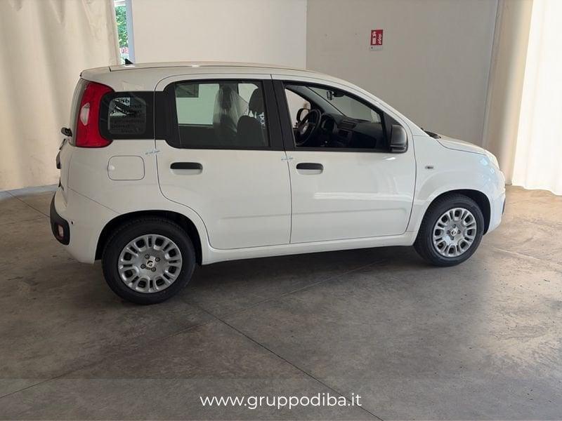 FIAT Pandina 1NA My26 1.0 65cv Hybrid Pop