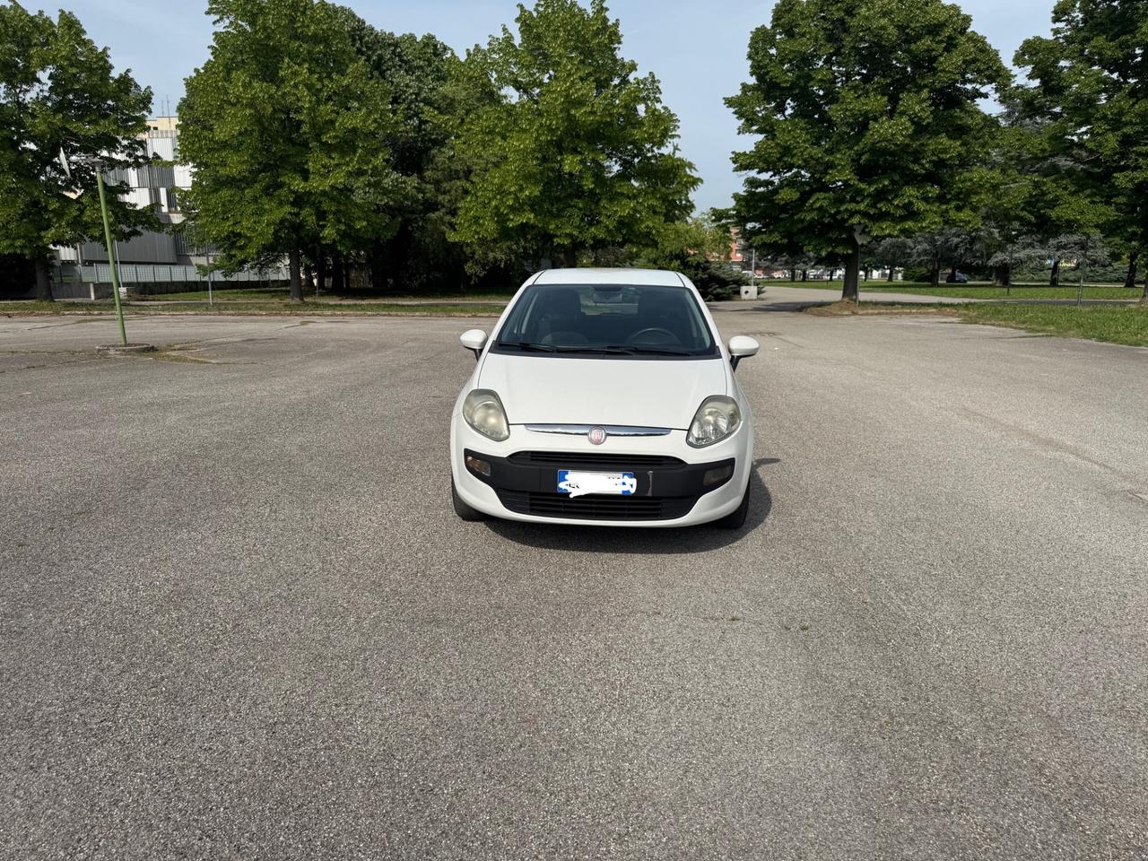 Fiat Punto Evo 1.4 5 porte Dynamic EasyPower