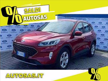 FORD Kuga 1.5 EcoBlue 120 CV 2WD Connect del 2020