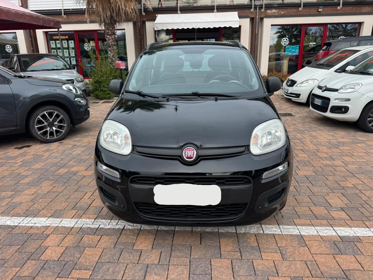 Fiat Panda 0.9 TwinAir Turbo Natural Power Easy PREZZO PROMO: € 4.990,00