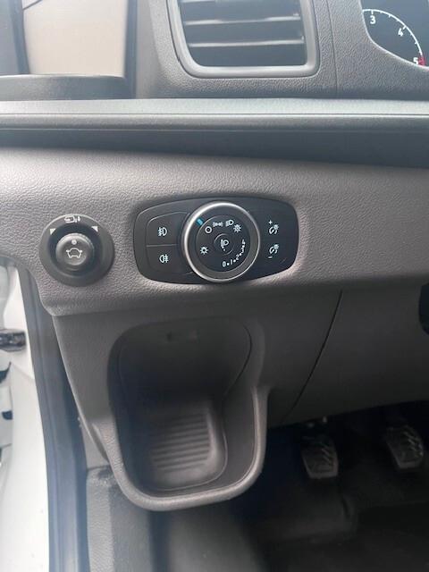 Ford Transit 350 2.0TDCi EcoBlue RWD MHEV 130 PM-TM Furgone Trend