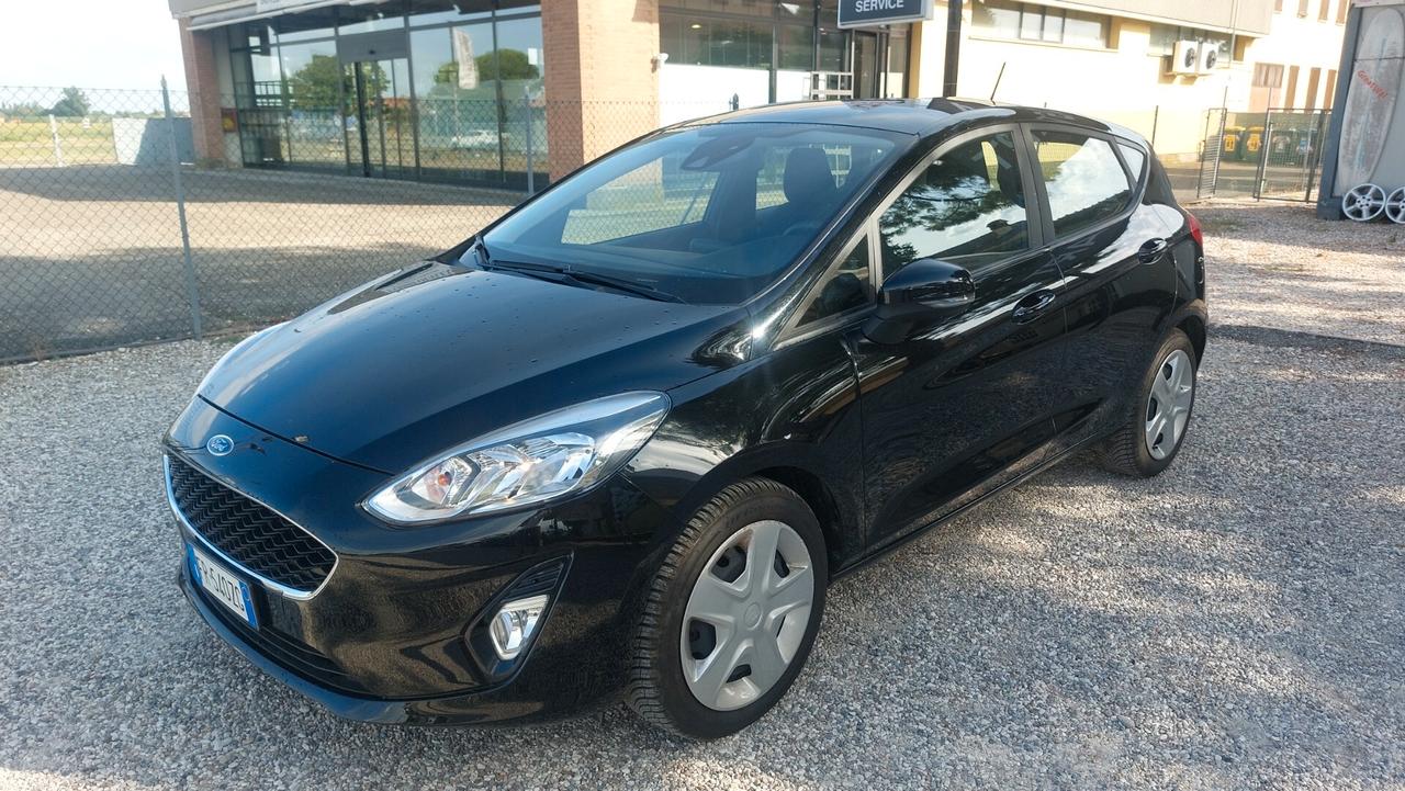 Ford Fiesta 1.1 5 porte Plus