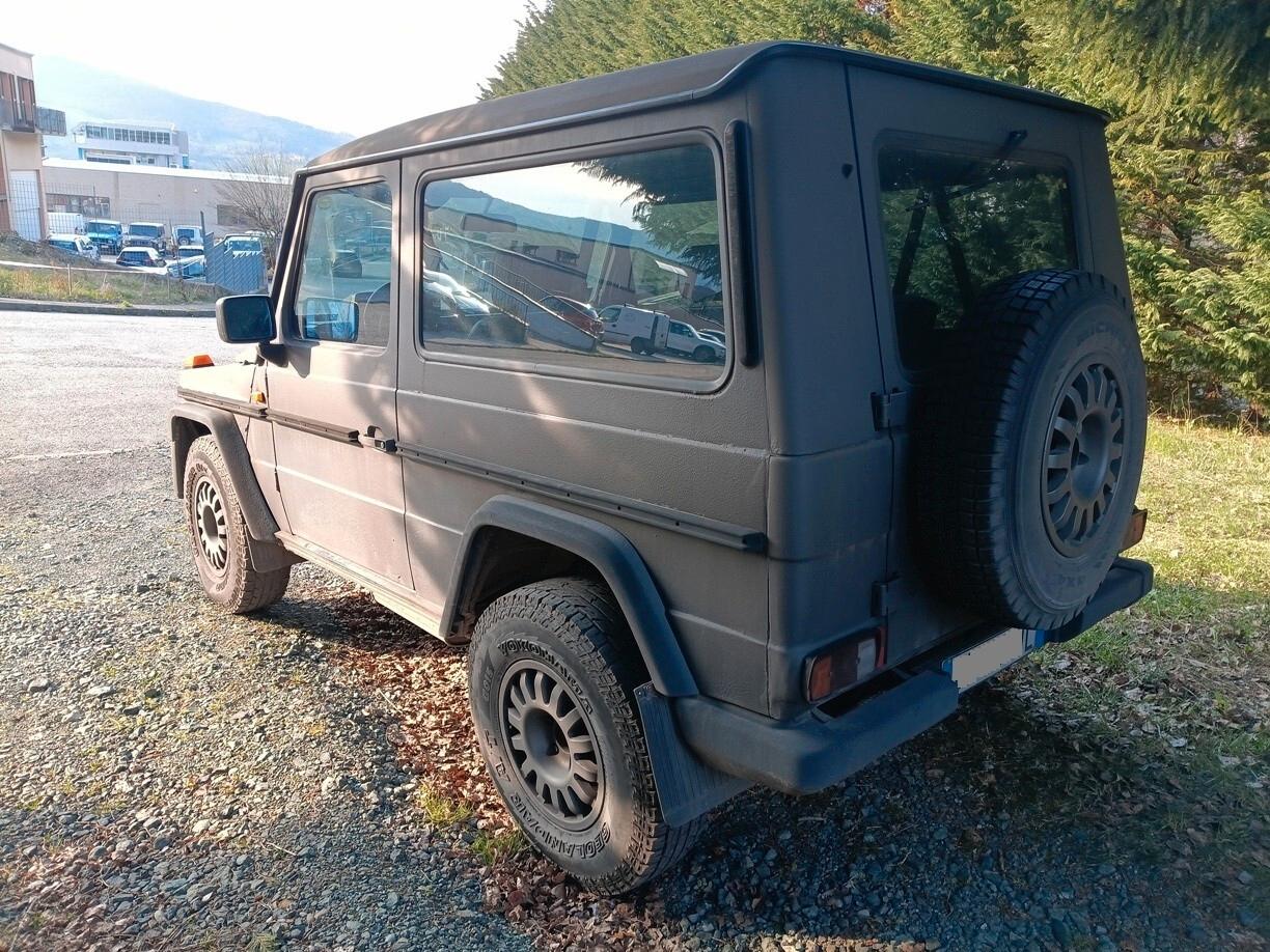 Mercedes-benz G 300GD