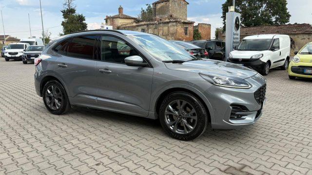 FORD Kuga 1.5 EcoBlue 120 CV aut. 2WD ST-Line IVA ESPOSTA