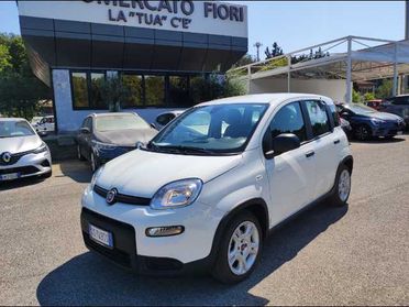 FIAT Panda 1.0 firefly hybrid s&s 70cv