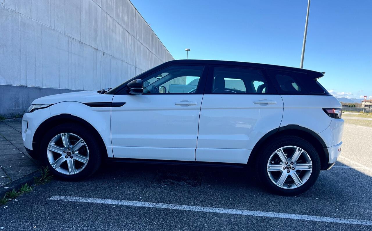 Range Evoque 2.2 Sd4 Dynamic Limited Edition *TETTO*CRONOLOGIA TAGLIANDI