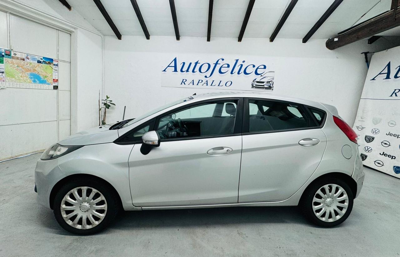 Ford Fiesta 1.4 TDCi 68CV 5 porte Titanium