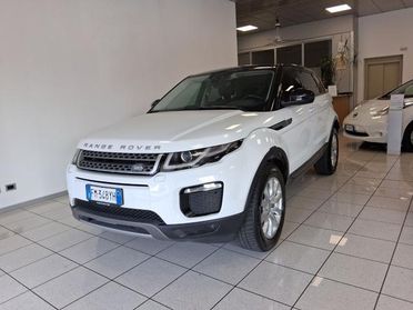 LAND ROVER Range Rover Evoque 2.0 TD4 150 CV 5p Business Ed. Premium SE