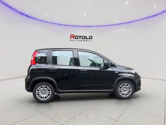 FIAT Panda ADAS ICON Hybrid SENZA FINANZIAMENTO