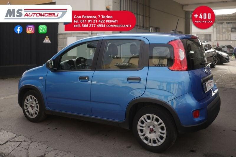 FIAT Panda FIAT Panda 1.0 FireFly 70cv S&S Hybrid Promozione Unicoproprietario